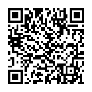 那佛陀金掌跟那滔天血光也重重地撞击在了一起二维码生成