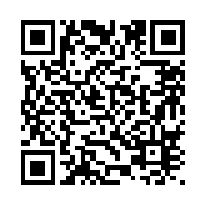 那你为什么会走过这么多的地方呢二维码生成