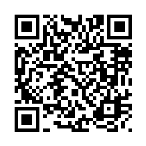 那你之前为什么还带我去稻田散心二维码生成