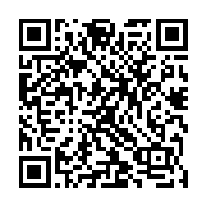 那你之前那么长时间一个人睡怎么不说不习惯两个人睡呢二维码生成