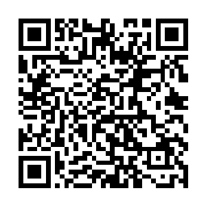 那你们为什么还会那么辛苦地获得上来三层的资格啊二维码生成