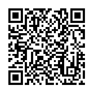 那你们又为何到了后来会遇见那么多妖兽的袭击呢二维码生成