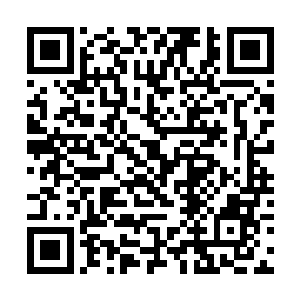 那你们很希望洛克菲勒家族从这个世界上彻底消失了二维码生成