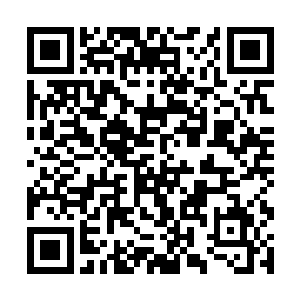 那你们是不是已经将王族领地里面的一切都带出来了二维码生成