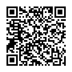 那你们这些圣级大修士不会带着空间仙器运送修士吗二维码生成