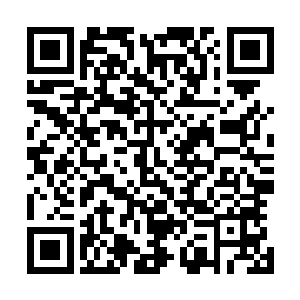 那你又是怎么知道他是故意想进咱们院子里来打探消息的呢二维码生成