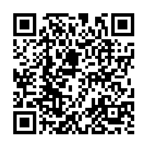 那你可以拿真器元胎来温养它……记得要隔绝灵气二维码生成