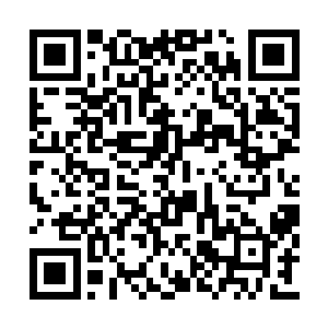 那你就完全不顾及你们公司和他们公司的合作了二维码生成
