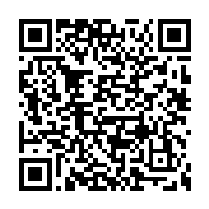 那你就把救我的经过详详细细地给孙执事讲一遍二维码生成