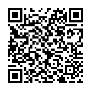 那你怎么知道这个副本的安全区开启时间是24小时后二维码生成