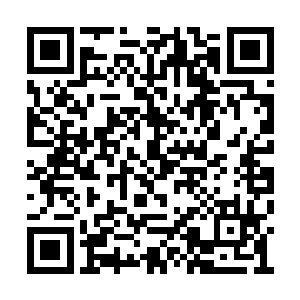 那你是不是可以将没有飞升资格的人带入仙界了二维码生成