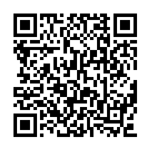 那你是不是立志杀光死神联盟所有跟过里约的人二维码生成