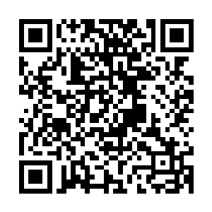 那你是没看见我被牟老板奚落没资格给他打电话的时候……哎呀二维码生成