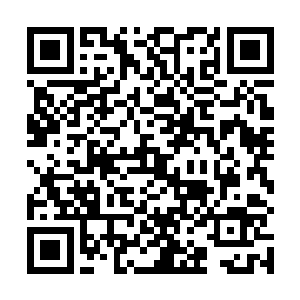 那你炼制出来的那个所谓金翅丹也未必就是太古神丹了二维码生成