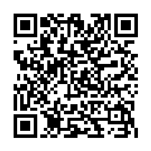 那你炼制的界王丹虽然效果不可能和夏天的相比二维码生成