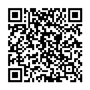 那你现在有别的办法不杀一人而获得天诛殿的高分吗二维码生成