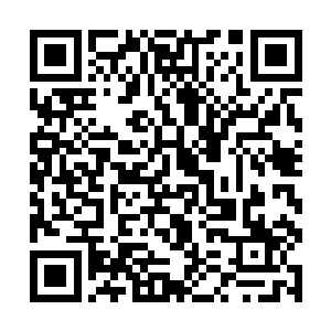 那你的意思是……有可能为了另一个人放弃白奇雪了二维码生成