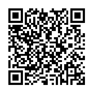 那你的意思是说这天一峰之中有世界上最大的药田二维码生成