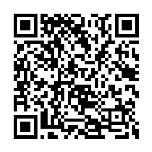 那你知不知道王元荣这次即使考不中也不回来了二维码生成