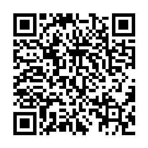 那你肯定也知道所谓的南都七虎正谋划着争夺新龙头的位置二维码生成