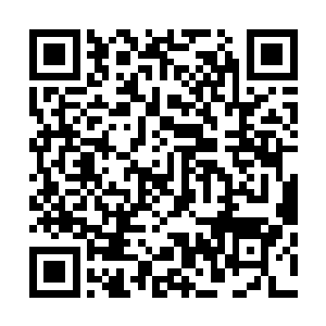 那你身体的强度和对于灭世天火的抵抗力也会变得越来越强二维码生成