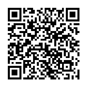 那俩人也没那本事找到亡命之徒去要她和翠峰的性命啊二维码生成