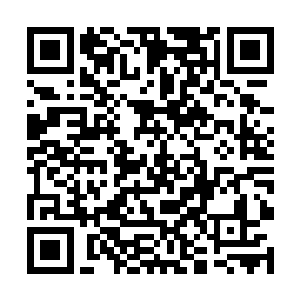 那修炼的灵气也在他们的指挥下在虚空中不断的飞舞二维码生成