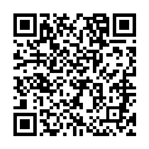 那修真联盟第一门派的实力必然就会落到大风堡的手里二维码生成