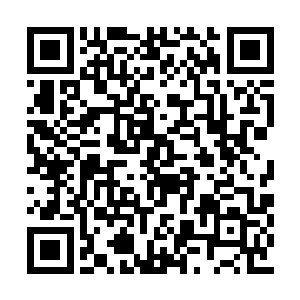 那充满气质的眼神让人不由自主都觉得矮了半截二维码生成