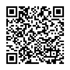 那光芒在他的驱使之下一点点一寸寸地游过果树的每一个角落二维码生成