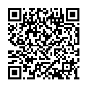 那全身糊满泥巴的少年已经一溜烟钻进沼泽之中二维码生成