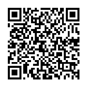 那六个鼓槌同时对准了自己那如同大鼓肚皮咚咚咚疯狂敲击起来二维码生成