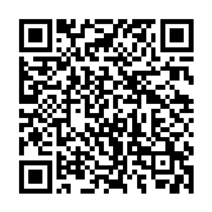 那其他的都好说……到时候直接把秦方打死或是打残二维码生成