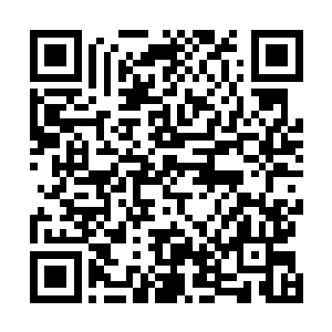 那军官说着就从包里掏出一个仿佛是平板电脑似的东西来二维码生成