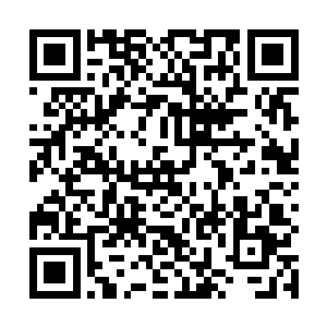 那冰雾寒蚕所在的冰层表面也忽然开始龟裂出无数裂纹二维码生成