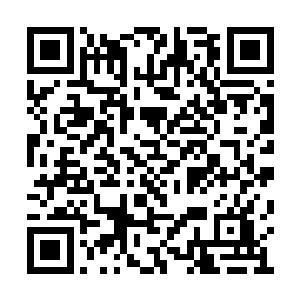 那冰霜巨人的面甲也终于被那巨蚊的长嘴所击溃二维码生成