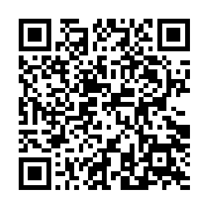 那凌厉的目光带着浓浓威胁之意的扫视了眼余下的光明圣师二维码生成