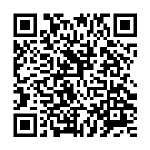 那凝聚出来的四个六丁六甲仙卫也已经无比威风凛凛地持着法宝二维码生成