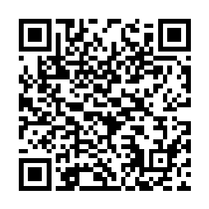 那几个围着林若溪转悠的年轻人立刻讪讪笑着闪开二维码生成