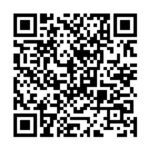 那几个在洞口处奋力斩杀阴魂的武者倒也不再叫嚣吵闹了二维码生成