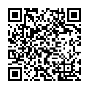 那几个学员就这么愣愣地看着萧语的背影越走越远二维码生成