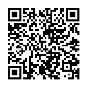 那几个家庭教师都一脸如饥似渴的挤在下面和孩子们一起旁听二维码生成