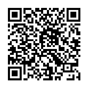 那几个想要和你争夺一姐的女明星全部都气得快要吐血了二维码生成