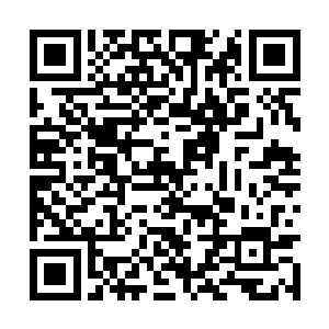 那几个手持拂尘的中年男子也仓皇离开深坑边缘处二维码生成