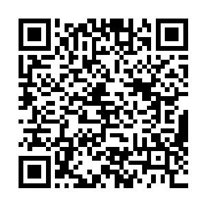 那几个最开始过来想要帮王少志的三级武霸都是他的心腹二维码生成