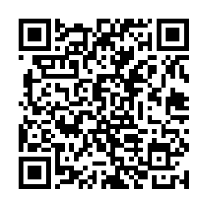 那几个正在蒂娜身体上疯狂施为的人全部静止了下来二维码生成