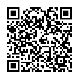 那几个贵族马上就看到了雁大家悠闲从容的俏脸二维码生成