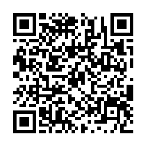 那几个青年朝着前台的美女笑了笑便朝着电梯走去二维码生成