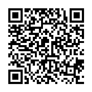 那几乎凝聚了楚旬全身力量的金身佛陀却并没有破碎消失二维码生成