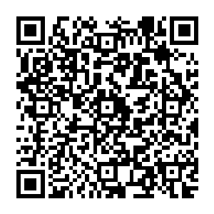 那几位年轻人一直缠着那叫小敏的女孩询问先前进入出殡的人群中到底发生了什么事情二维码生成